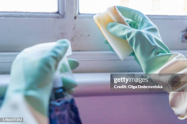 woman's hands in gloves cleaning mould off a window frame with a detergent - schimmel stockfoto's en -beelden