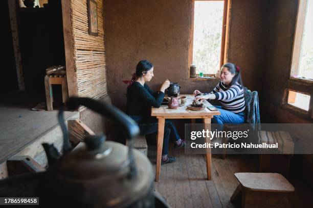two women having artichokes for lunch and eating on clay dishes in a rustic and traditional indigenous countryside house - chilean people stock pictures, royalty-free photos & images