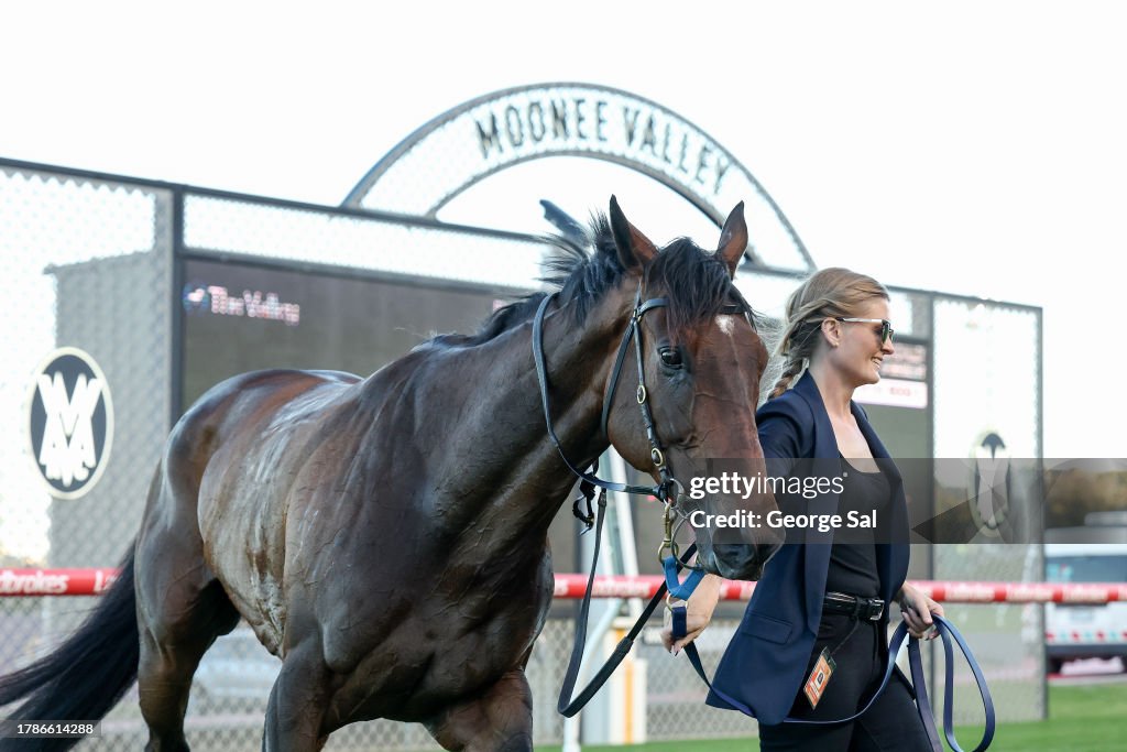 Team Taylor Racing Blue Moon after winning the Team Taylor Foundation Handicap at Moonee ...