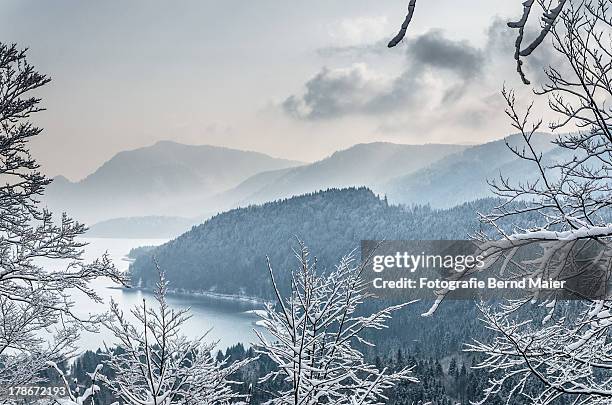 Yeah Schee Schee Photos and Premium High Res Pictures - Getty Images