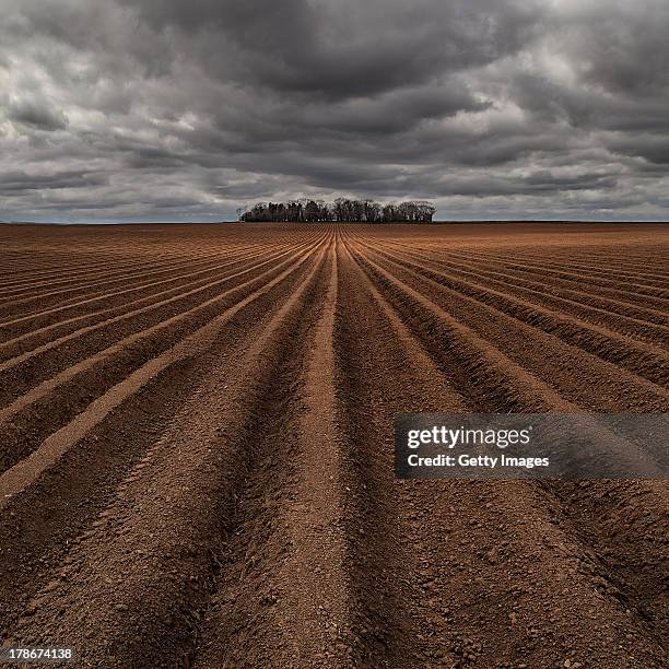 ploughed fields - gepflügtes feld stock-fotos und bilder