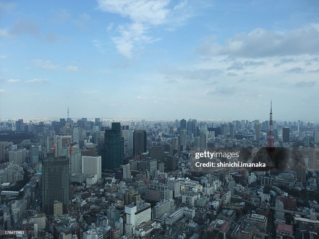 Bird's eye view of Tokyo