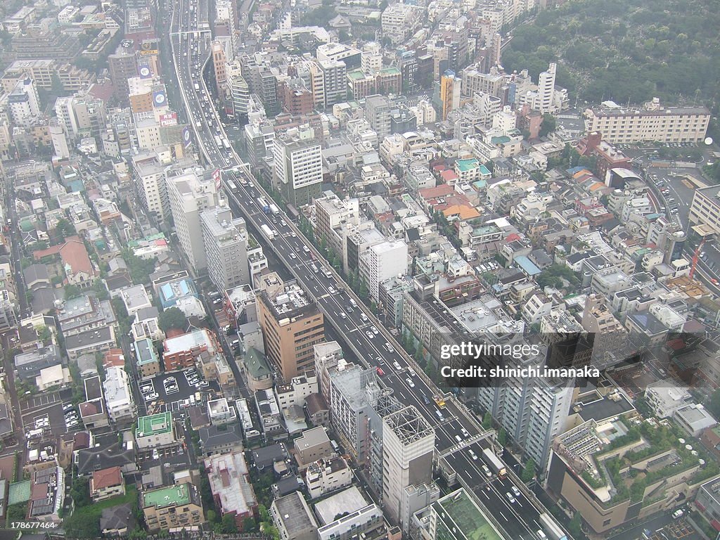 Bird's eye view of Tokyo