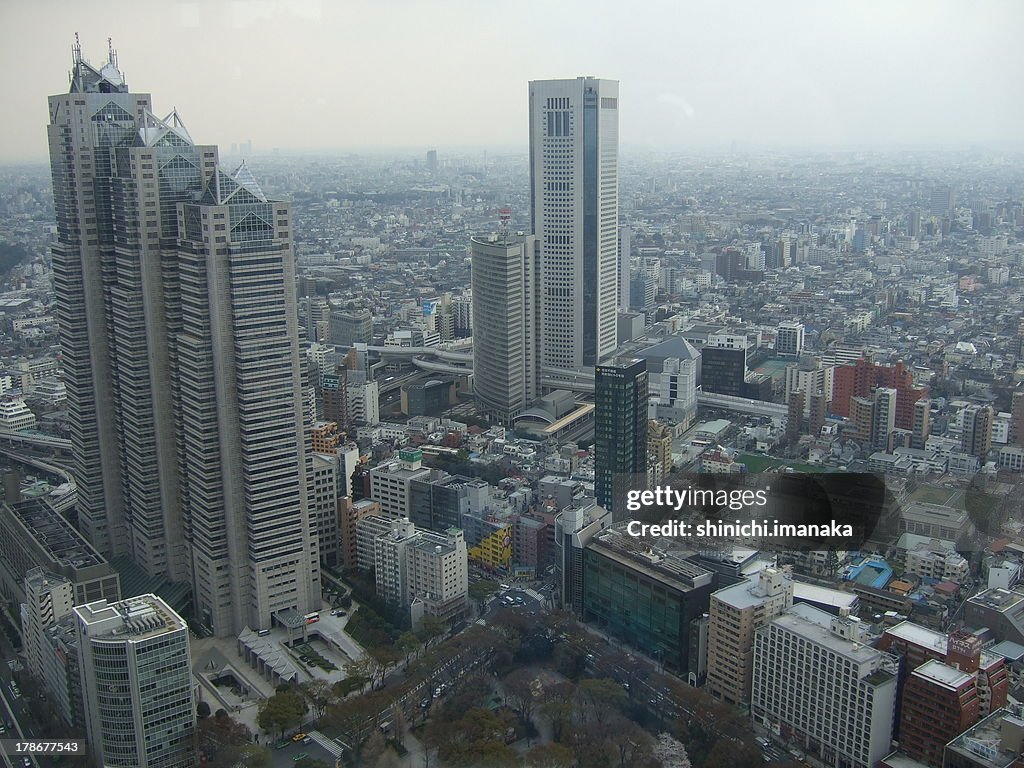 Bird's eye view of Tokyo