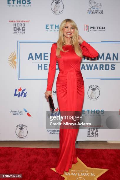 Christie Brinkley attends the American Humane Hero Dog Awards at The Breakers on November 10, 2023 in Palm Beach, Florida.
