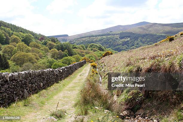 grassy path on the wicklow way hiking trail - bog stock pictures, royalty-free photos & images