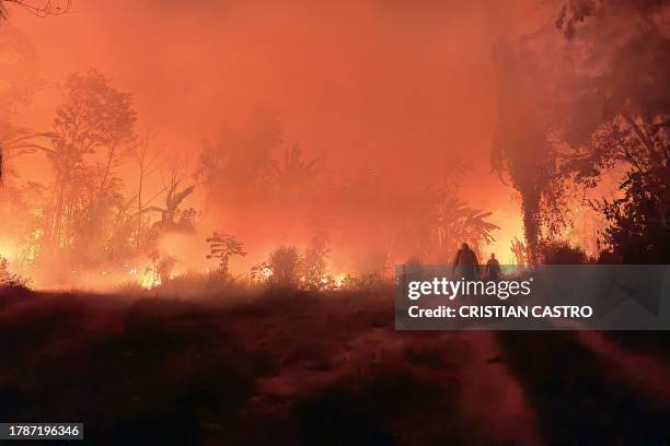 Volunteers and firefighters combat the fires that went out of control during the burning of forests and pastures for agricultural purposes in...