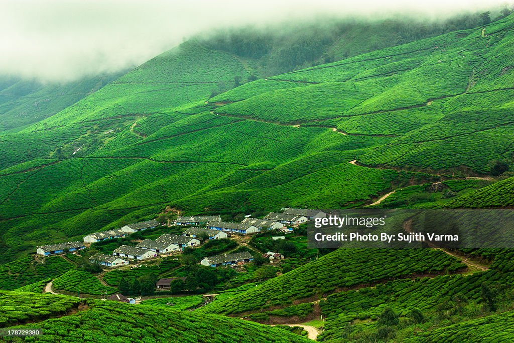 Kolukkumalai