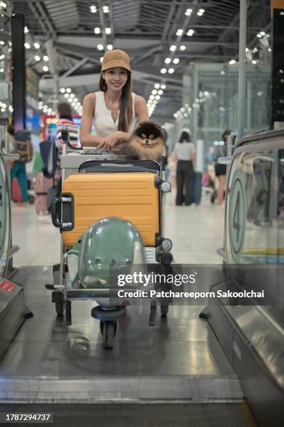 in airport - quarantine sign stock pictures, royalty-free photos & images