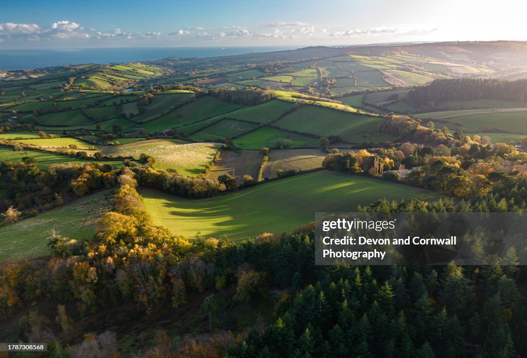Autumn Sunset, Devon