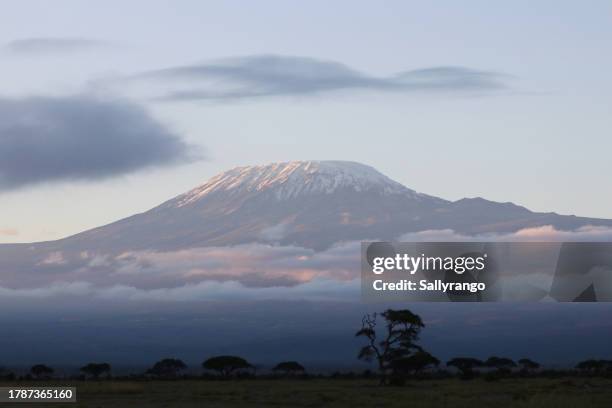 mount kilimanjaro at sunrise from amboseli national park. - monte kilimanjaro fotografías e imágenes de stock