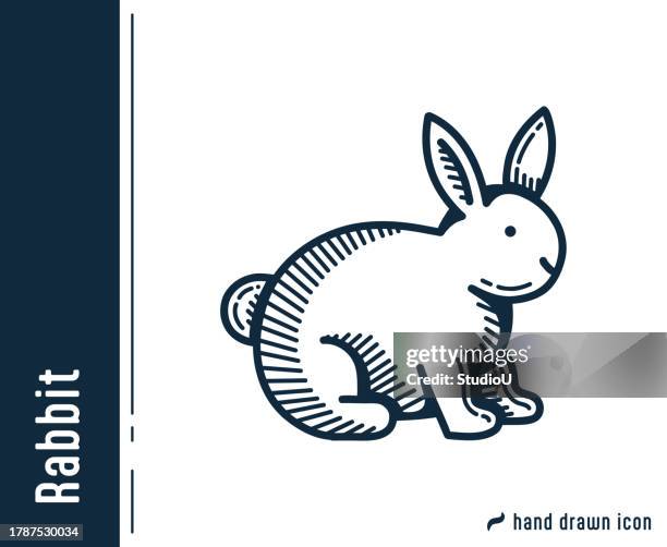 rabbit sketch icon - hare stock illustrations