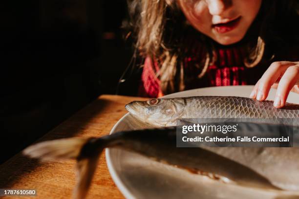 close-up of a young girl examining two dead fish on a plate - makreel stockfoto's en -beelden