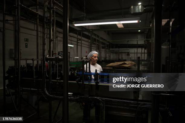 An employee works at the DCOOP olive oil factory in Antequera on November 14, 2023. Historical drought in Spain has lowered the olive production last...