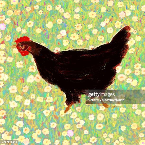 ilustraciones, imágenes clip art, dibujos animados e iconos de stock de ilustración pintoresca de un pollo negro - pintura-producto-artístico
