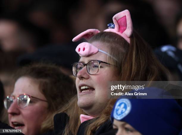 An SV Darmstadt 98 fan in the stands during the Bundesliga match between SV Darmstadt 98 and 1. FSV Mainz 05 at Merck-Stadion am Böllenfalltor on...