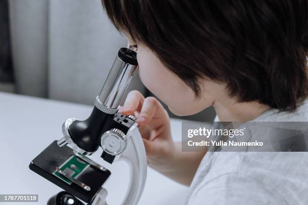 Someone Using Optical Microscope Home Microscope Photos and Premium High Res Pictures - Getty Images