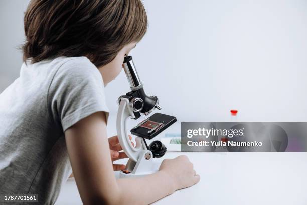 Someone Using Optical Microscope Home Microscope Photos and Premium High Res Pictures - Getty Images