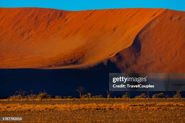 sharp border of light and shadow over the crest of the dune. the namib-naukluft at sunset. namibia, south africa. the concept of extreme and exotic tourism - namib naukluft national park 個照片及圖片檔