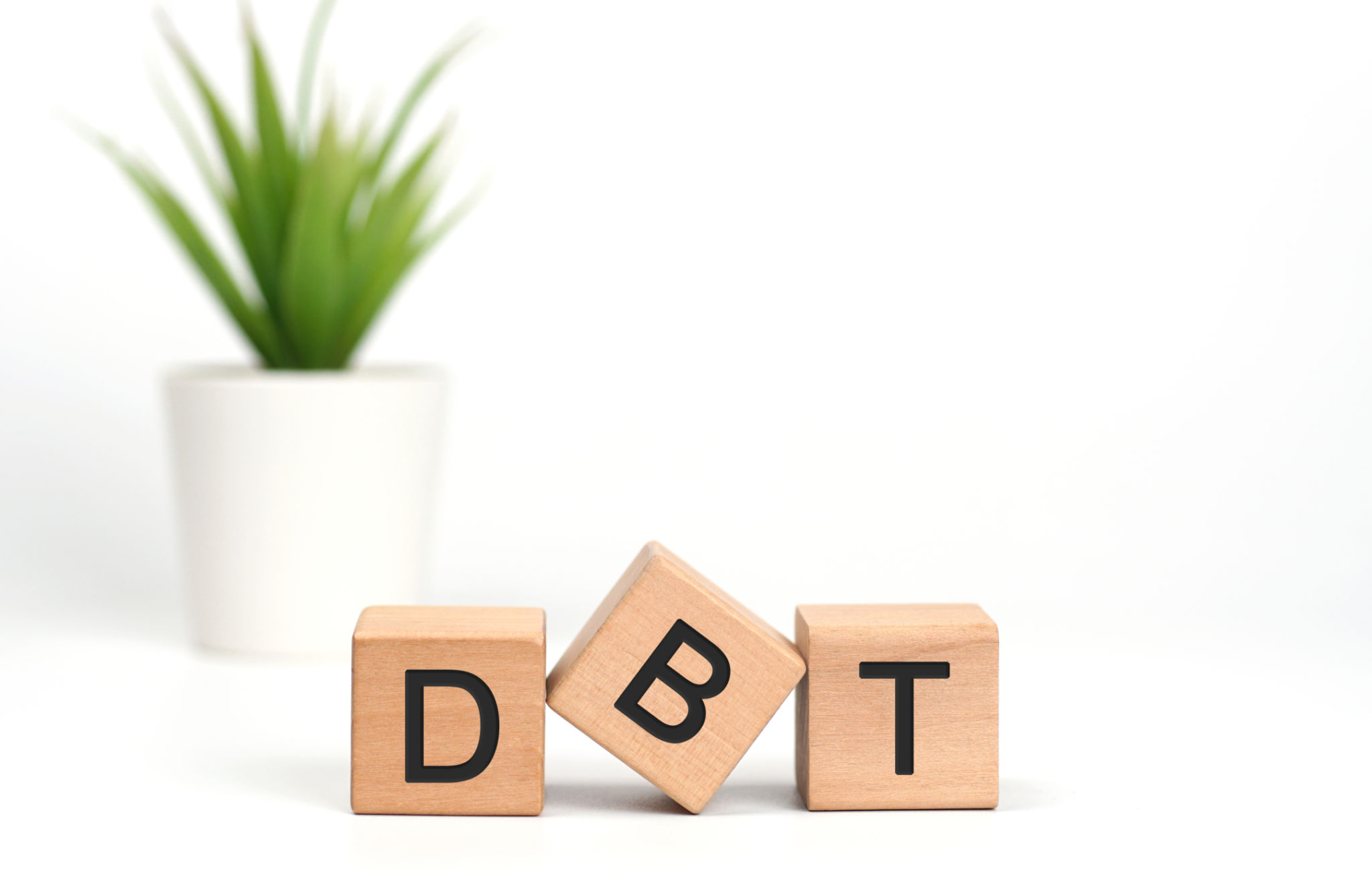 Wooden cubes with letters on white background. The words written is DBT Dialectical Behavior Therapy acronym with a pot of green plant.Psychological treatment concept, stress regulation.Copy space. Wooden cubes with letters on white background. The words written is DBT Dialectical Behavior Therapy acronym with a pot of green plant.Psychological treatment concept, stress regulation.Copy space.
