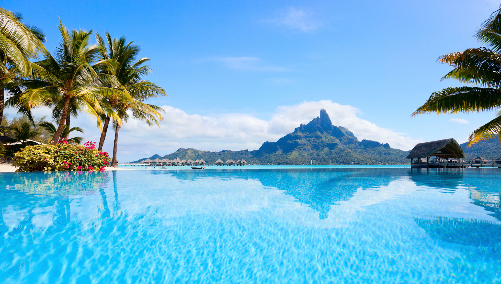 polynesian landscape