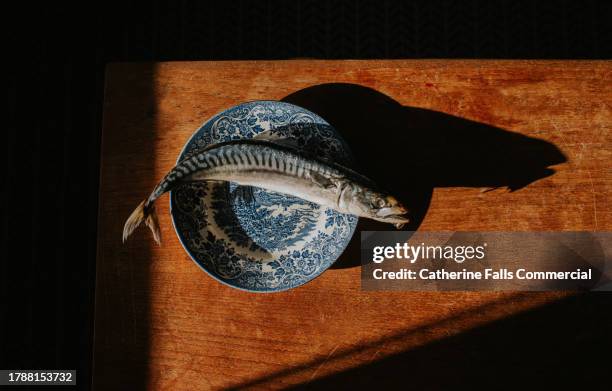 top down of a single mackerel on a patterned plate - plate side view stock pictures, royalty-free photos & images