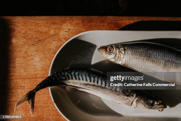 close-up, top down image of two raw, dead fish on a plate - cod liver oil stock pictures, royalty-free photos & images