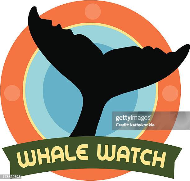 whale watch travel sticker or luggage label - whale tail illustration stock illustrations