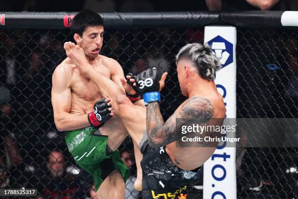 Alessandro Costa of Brazil kicks Steve Erceg of Australia in a flyweight fight during the UFC 295 event at Madison Square Garden on November 11, 2023...