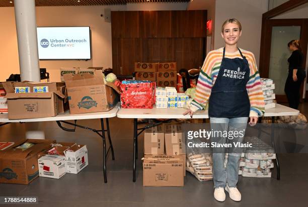 Emma Roberts attends the Feeding America event in NYC on November 17, 2023 in New York City.