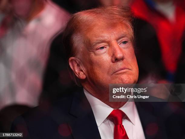 Former U.S. President Donald Trump is seen during the UFC 295 event at Madison Square Garden on November 11, 2023 in New York City.