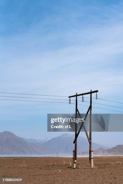 an old utility pole in the yellow earth. - brassica napus l stockfoto's en -beelden