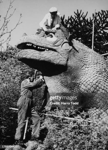 Polish sculptor Adam Bienkowski sits atop the head of a Mantellisaurus , one of the Crystal Palace dinosaurs, as Bienkowski's assistant Cyril Basten...