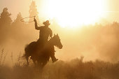 Cowboy roping on his horse silhouette