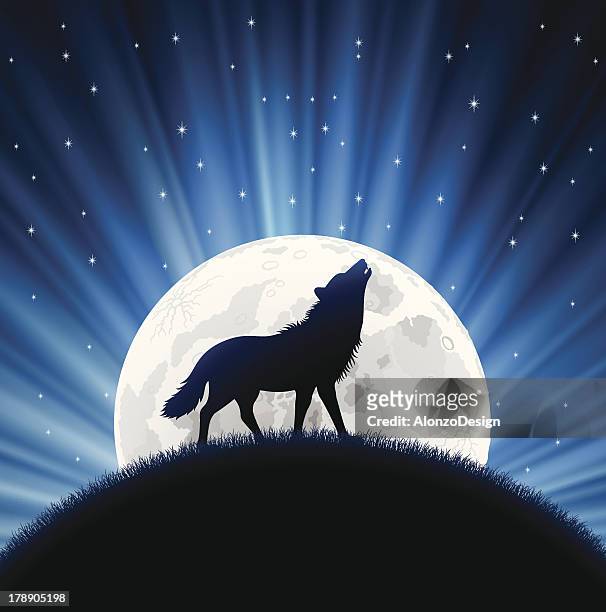 ilustrações de stock, clip art, desenhos animados e ícones de lobo uivando - wolf moon