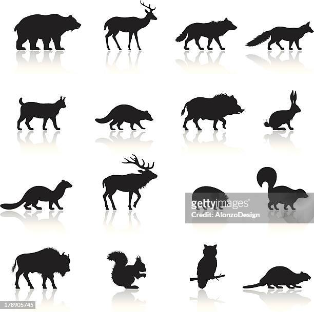 ilustraciones, imágenes clip art, dibujos animados e iconos de stock de conjunto de iconos de animales salvajes - squirrel