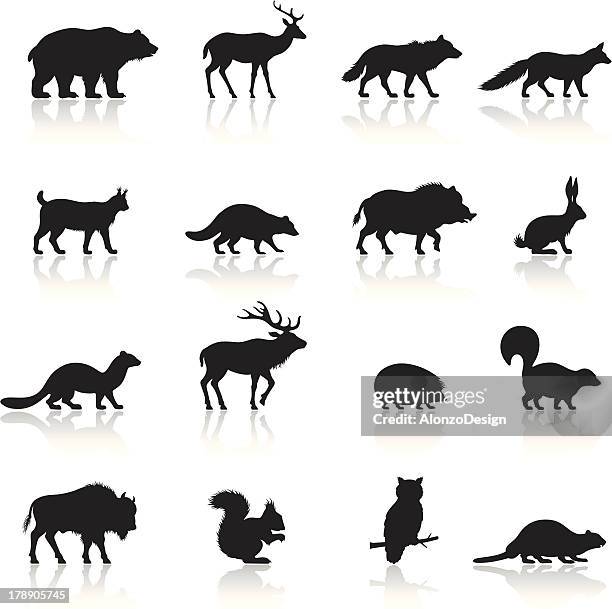 illustrations, cliparts, dessins animés et icônes de ensemble d'icônes animaux sauvages - famille du cerf