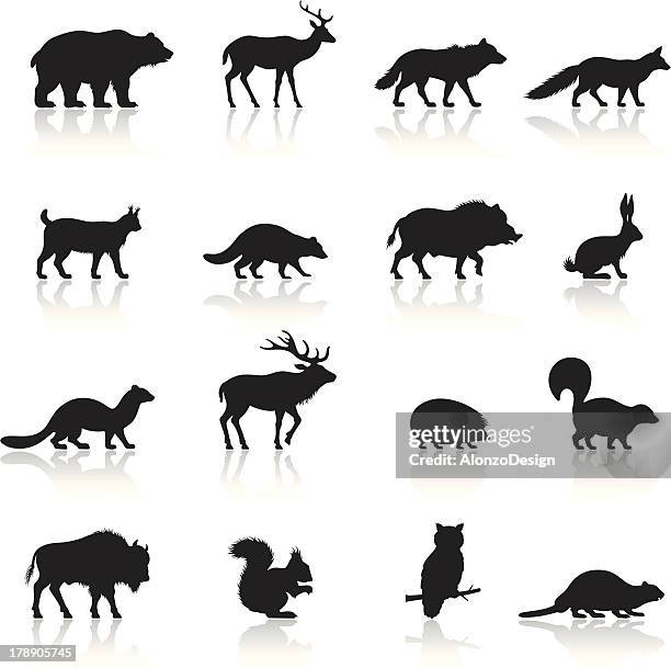 bildbanksillustrationer, clip art samt tecknat material och ikoner med wild animals icon set - animal