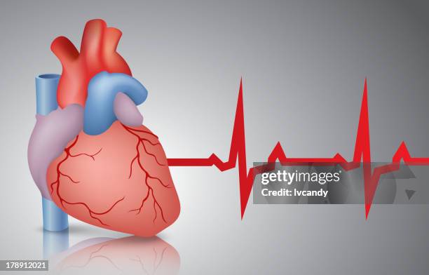 stockillustraties, clipart, cartoons en iconen met heart and cardiogram - red background