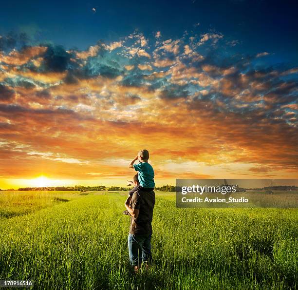 father and son on meadow - calculate stockfoto's en -beelden