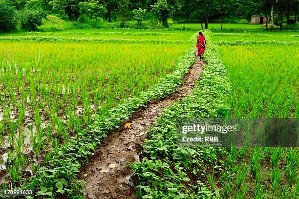 long way to go!... - pune imagens e fotografias de stock