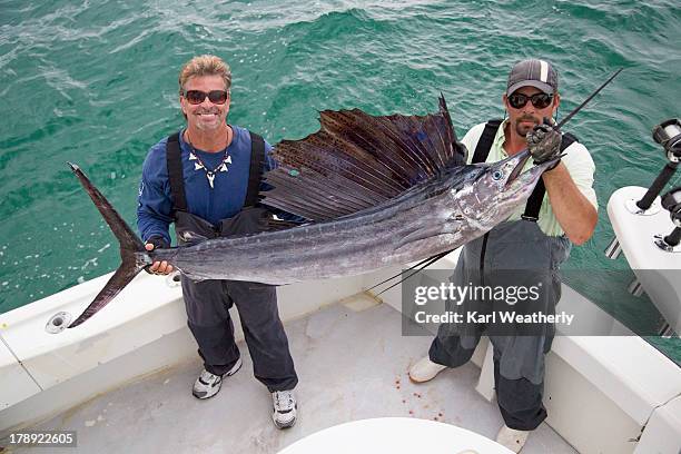 men holding sailfish - segelfische stock-fotos und bilder