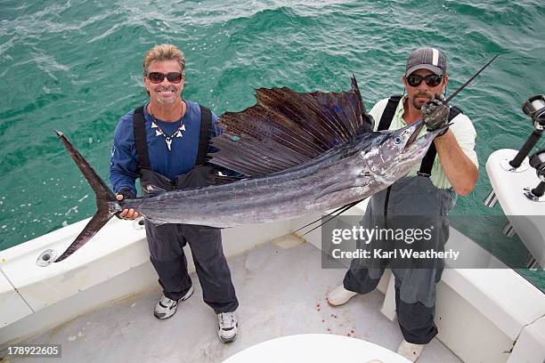 men holding sailfish - sail fish stock pictures, royalty-free photos & images