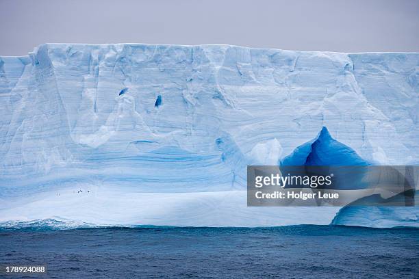 antarctic iceberg - elephant island south shetland islands stockfoto's en -beelden