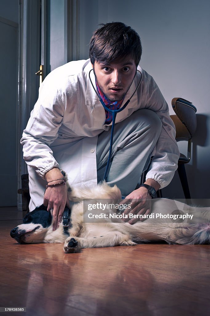 The dog doctor
