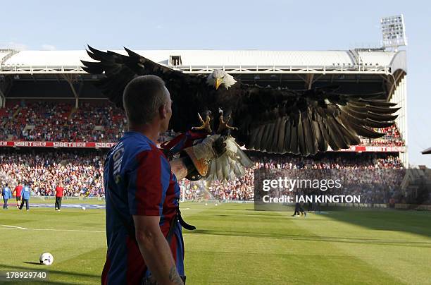 Crystal Palace's mascot Kayla the eagle flies before the English Premier League football match between Crystal Palace and Sunderland at Selhurst Park...