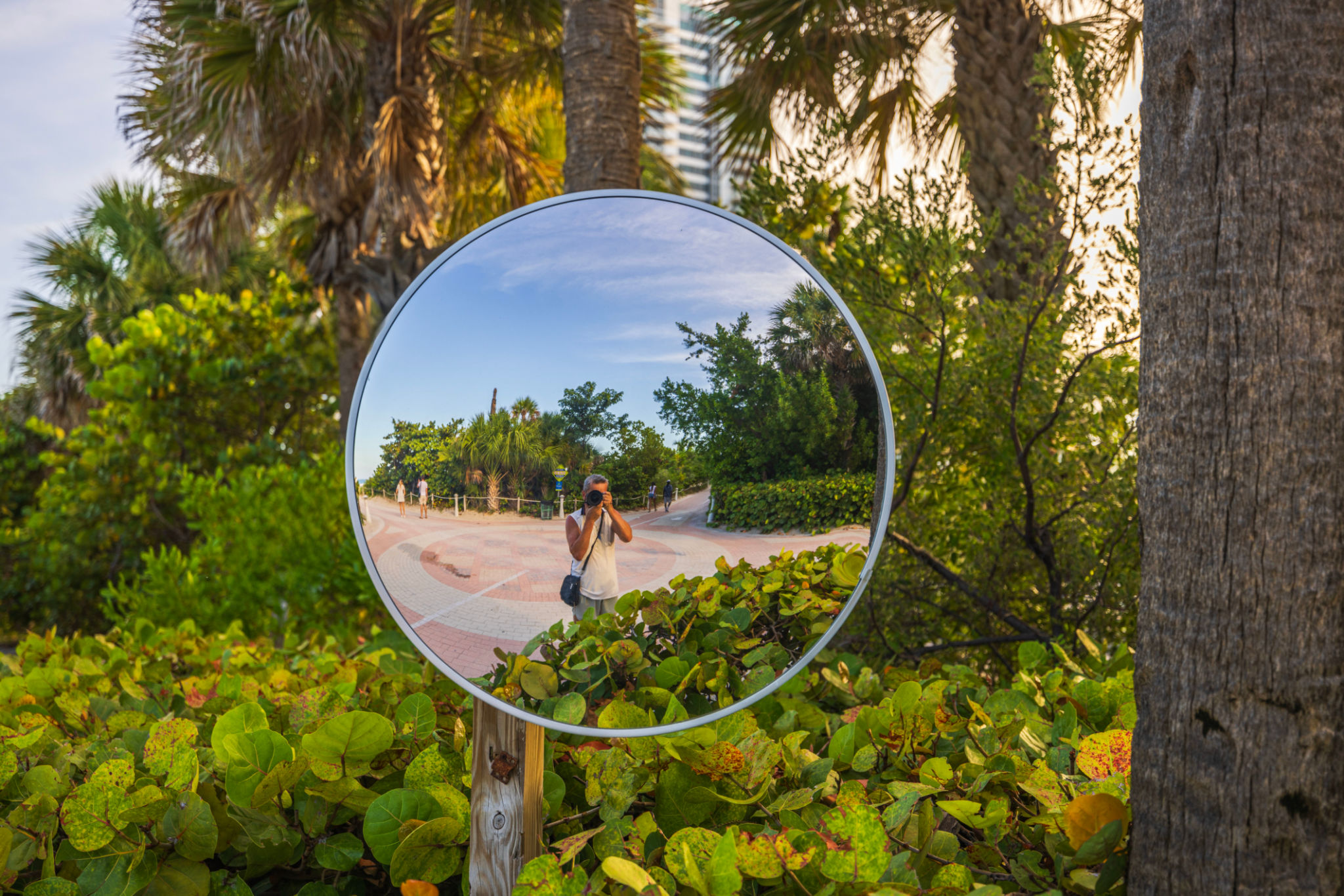 south florida mirror