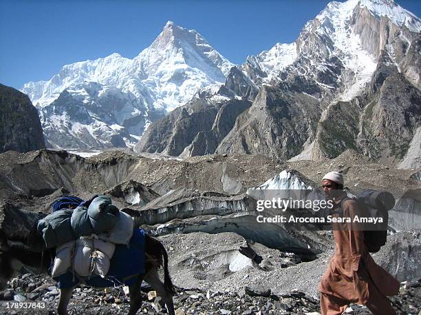 Donkey and porter in Trekking Baltoro, behind Masherbrum peak . Baltoro Concordia Trek has been a highlight for trekkers, and has allowed thousands...