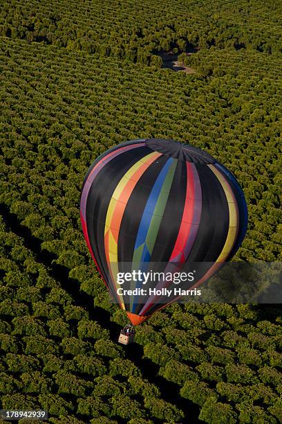 hot air balloon - temecula-california photos et images de collection