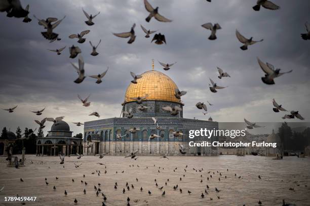 Pigeons fly outside the near deserted historic Al-Aqsa Mosque on November 12, 2023 in Jerusalem. Al-Aqsa Mosque, the third-holiest site in Islam,...